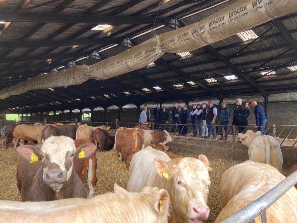 Young livestock auctioneers link up to look to future of the mart