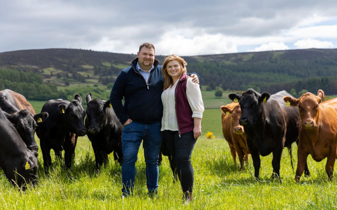 Often overlooked bull fertility test key to maximising suckler margins 