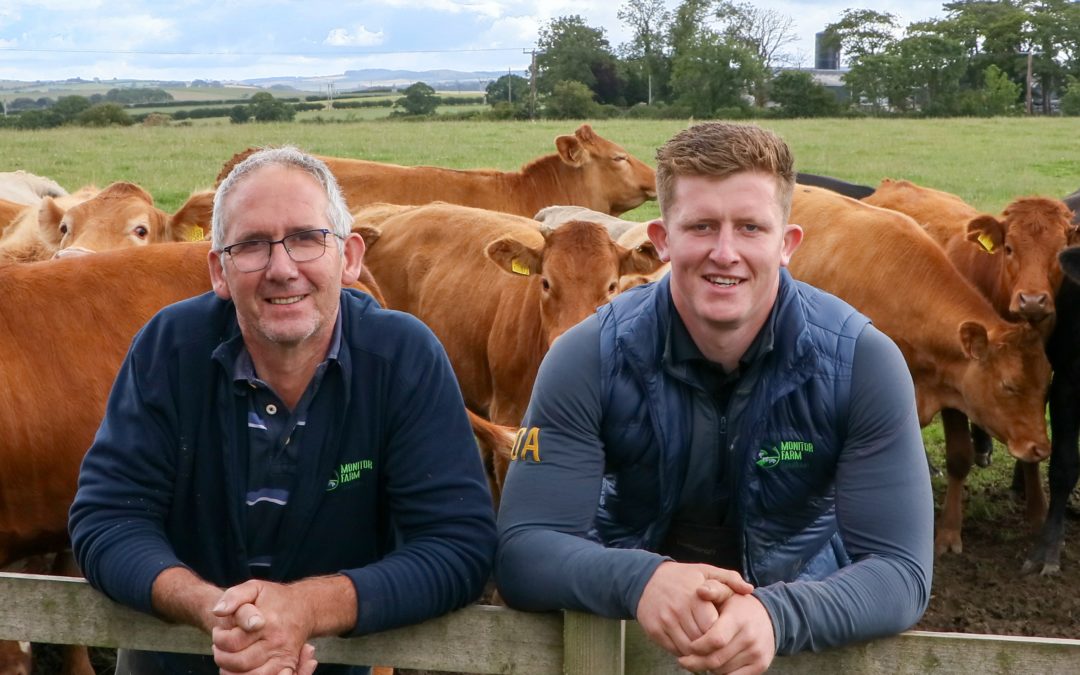 Book now for South Ayrshire Monitor Farm meeting on key hill farm topics