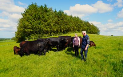 Improve your farm’s sustainability: join Quality Meat Scotland’s summer open days
