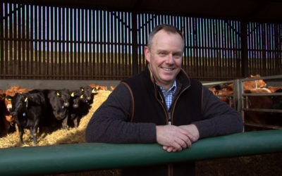 Part of the heard: new podcast series talks farm business