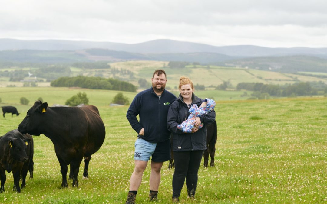 Finishing cattle from forage the hot topic at upcoming Deeside Monitor Farm meeting