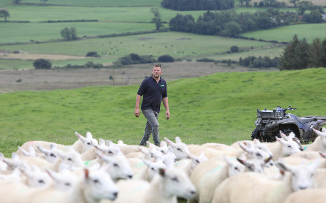 Growing for optimum output at Dumfriesshire Monitor Farm summer meeting