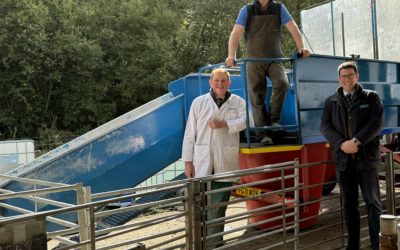 Mart dipping service fights back on sheep scab