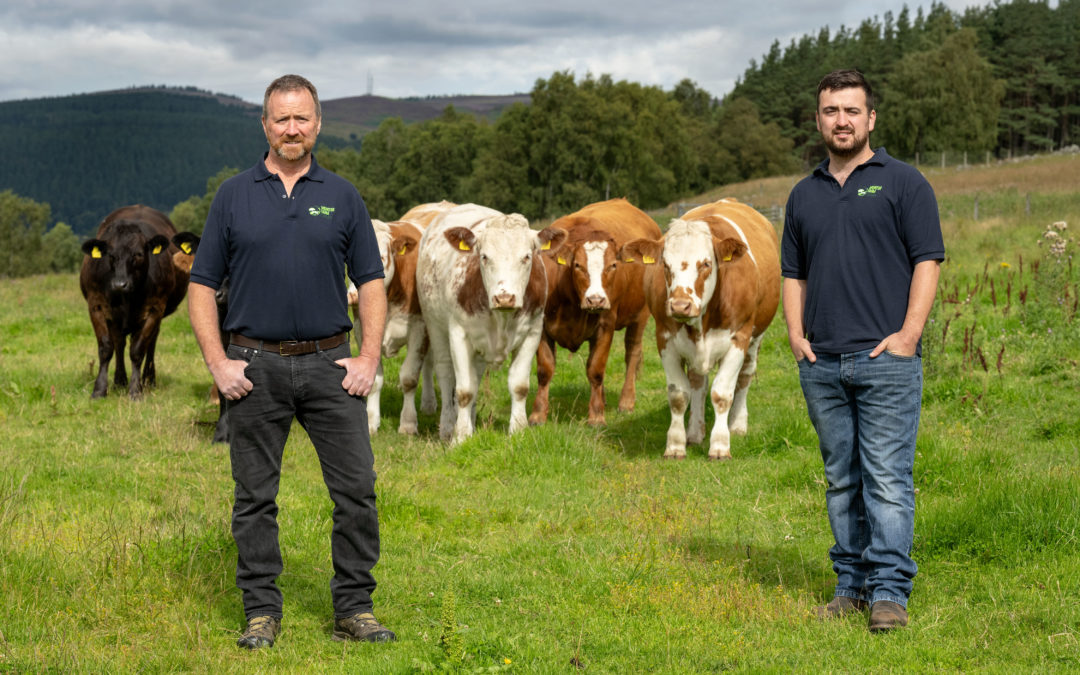 Strathspey Monitor Farm meeting to focus on livestock autumn tasks