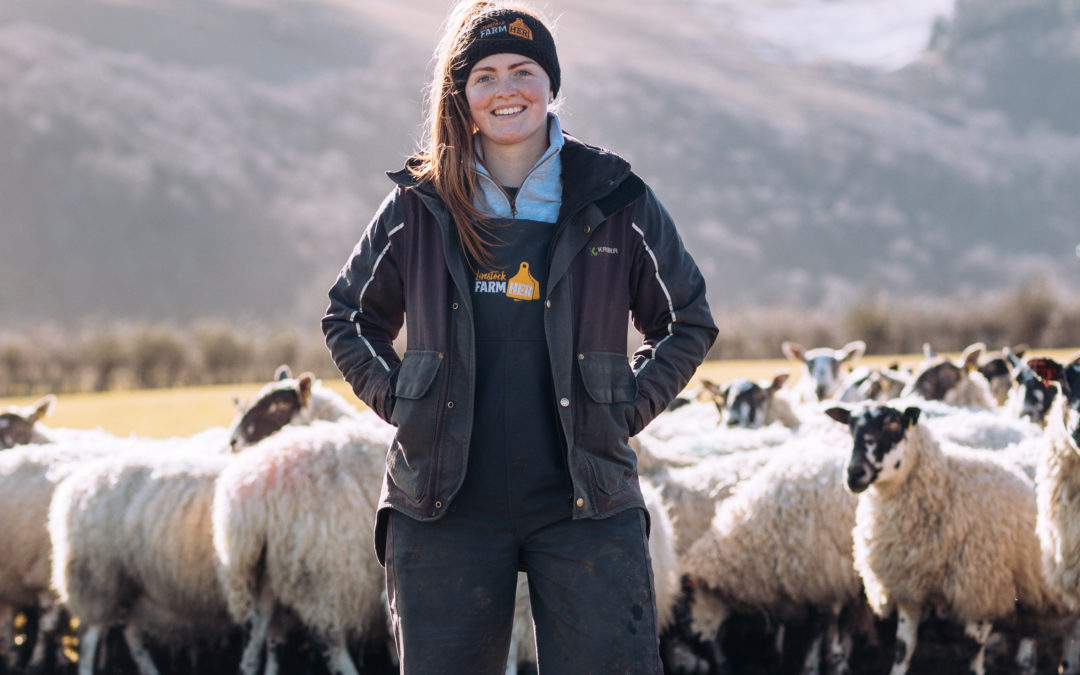 Donate to the 2024 Lamb Bank to help deliver tons of Scottish lamb into schools