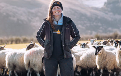 Donate to the 2024 Lamb Bank to help deliver tons of Scottish lamb into schools