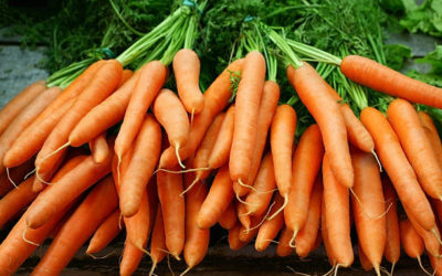 A Great Bunch: British Farmers Make Plea to Public Not To Take The Humble Carrot for Granted