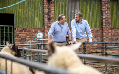 Livestock farmers in Less Favoured Area could see profits cut in half with new delinked payments