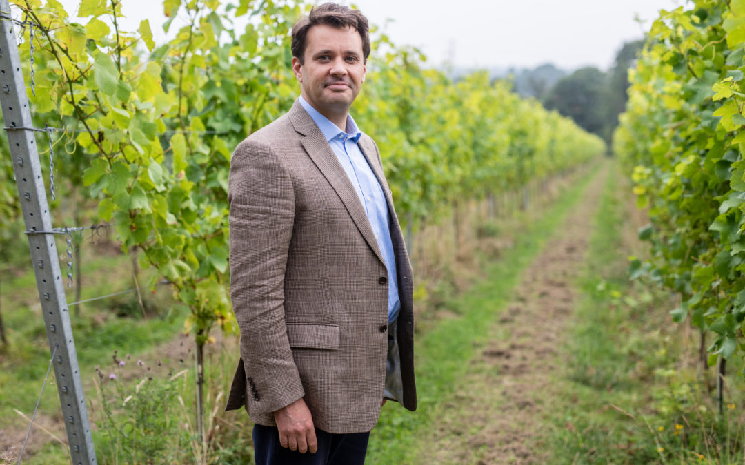 Harvesting Insights: Knight Frank’s Mapping Tool to Propel UK Wine Industry Growth