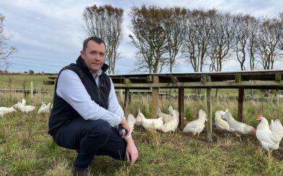 Leading egg producer joins the scramble to find some positives for farming