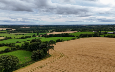 Journey towards net-zero barley production: BASF and Boortmalt produce first Verified Impact Units in Europe